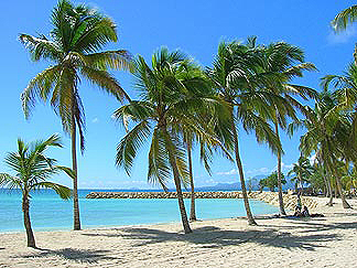 Expert-comptable Guadeloupe Baie-Mahault Jarry